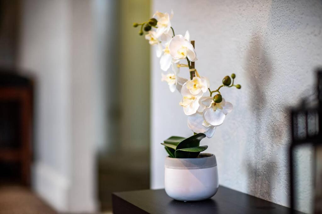 Pet Friendly Millcreek Home Close To Downtown/Mtns Salt Lake City Exteriér fotografie